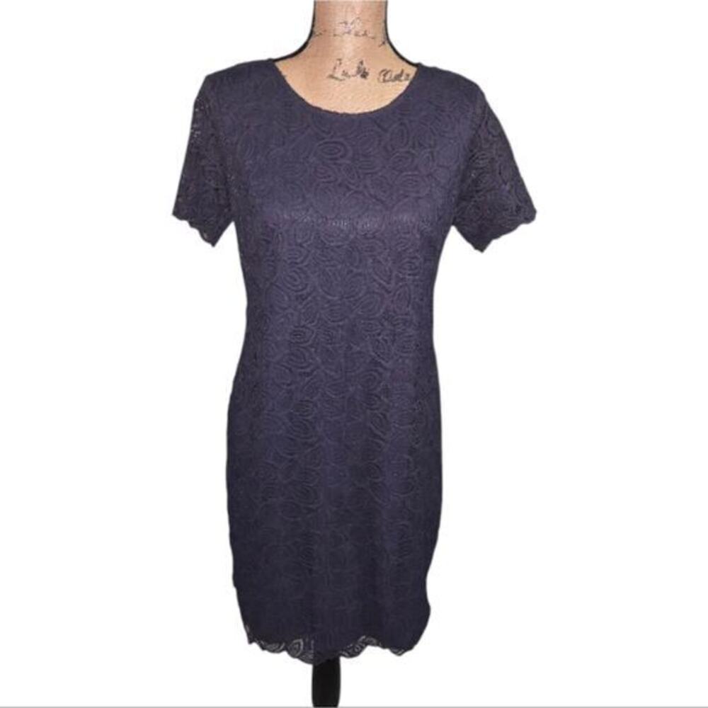 Ann Taylor Bue Grey Lace Shift Dress Scallop Edge Style Women's Size 4 New - Picture 3 of 9